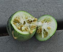 Image result for cufruta