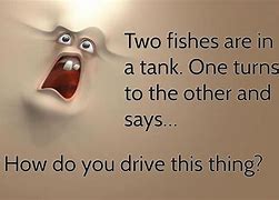 Image result for Say What Funny Pics