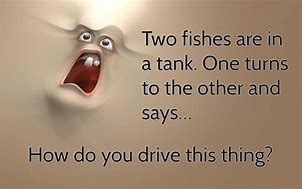 Image result for Silly and Funny Jokes