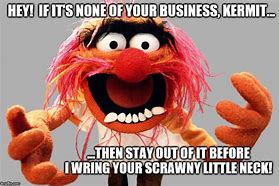 Image result for Muppets Animal Facebook Memes