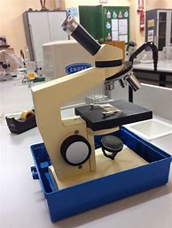 Image result for Microscope Display