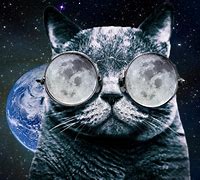 Image result for Space Cat with Glasses