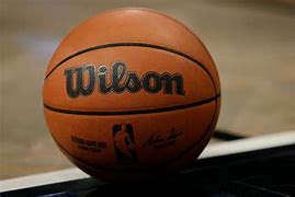 Image result for Wilson NBA Indoor Basketball