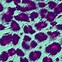 Image result for Pink Cheetah Print High Quality