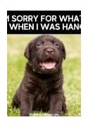 Image result for Puppy Memes Clean