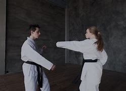 Image result for Types of Karate Classes