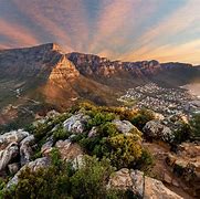 Image result for Most South Africa Thing