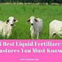 Image result for Liquid Pasture Fertilizer