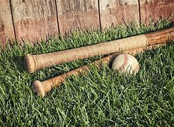 Image result for Old Hickory Baseball Bats