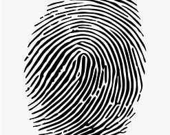 Image result for Fingerprint Clip Art Free