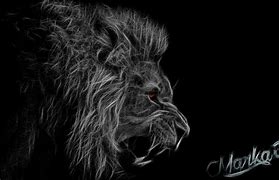 Image result for HD Lion Black and White