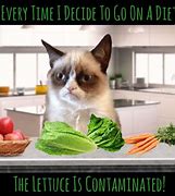 Image result for Lettuce Contaminated Meme