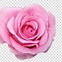 Image result for Rose Pink iPhone 8 PNG