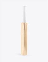 Image result for Blank Cricket Bat
