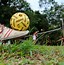 Image result for takraw