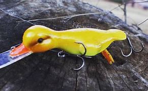 Image result for Duck Lure