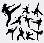 Image result for Martial Arts Kick