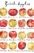 Image result for English Cooking Apple Varieties