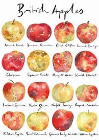 Image result for Apple's Varieties Poster