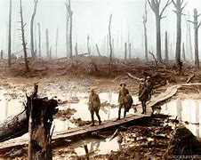 Image result for WW1 Dead Color