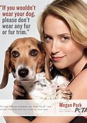 Image result for Animal Testing Alternatives