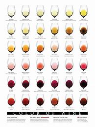 Image result for Pinot Noir Wine Color