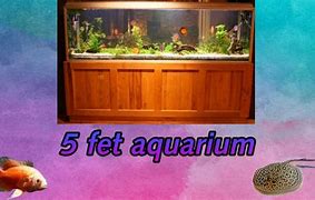 Image result for +How Big Is 5 FET