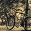 Image result for Biking