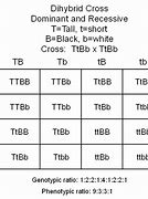 Image result for Homozygous in a Table