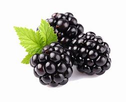 Image result for White BlackBerry Fruit Background