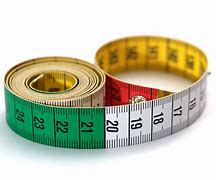 Image result for Measuring Stick for Horses