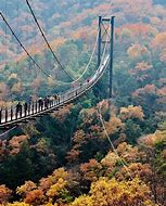 Image result for Osaka Autumn