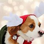 Image result for Christmas Puppy Lock Screen