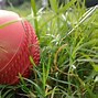 Image result for Cricket App Designs