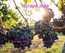 Image result for Jokes About Grapes