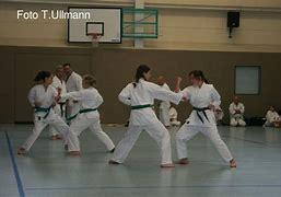 Image result for Shotokan Karate Kicks