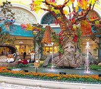 Image result for Fall in Las Vegas