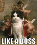 Image result for Like a Boss Cat Meme