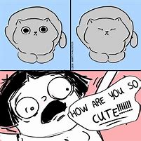 Image result for Baby and Cat Meme