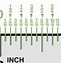 Image result for Read Ruler Inches