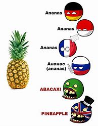 Image result for Pineapple Meme Languages