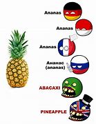 Image result for Pineapple Language Meme