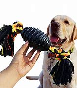 Image result for Chew Toys