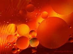Image result for Bubbles Photography Orange