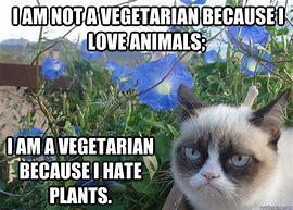 Image result for Vegan Dog Meme