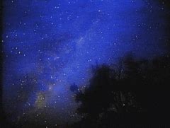 Image result for Star Night Real