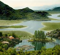 Image result for Skadarsko Jezero Crna Gora