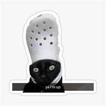 Image result for Meme Red Bubble Stickers Croc Cat