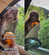 Image result for Dank Monkey Memes