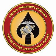 Image result for Special Operations Logo